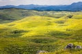 Akiyoshi Plateau Landscape with Sinkholes Royalty Free Stock Photo