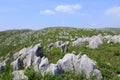 Akiyoshidai, the largest limestone plateau in Japan