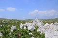 Akiyoshidai, the largest limestone plateau in Japan