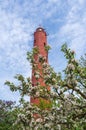 Akmensrags lighthouse on sunny spring day surrounded by blooming apple trees and lilac