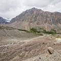 Aktru. Altai Mountains summer landscape Royalty Free Stock Photo
