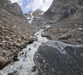 Aktru river, Altai Mountains landscape. Royalty Free Stock Photo