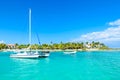 Akumal beach - paradise bay Beach in Quintana Roo, Mexico - caribbean coast