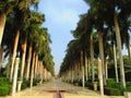 Al Azhar Park and green Trees and flowers and Wonderful sky and pure water and powerful and positive views in Cairo in Egypt