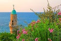 Al-Bahr Mosque or Sea Mosque in Old City of Jaffa, Tel-Aviv Royalty Free Stock Photo