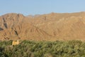 Al Bithnah Fort in Fujairah, UAE