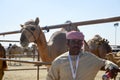 Al Dhafra Camel Festival in Abu Dhabi Royalty Free Stock Photo