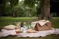 al fresco lunch in the park, with a bagged picnic and blanket