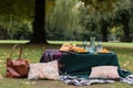 al fresco lunch in the park, with a bagged picnic and blanket