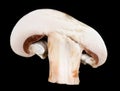 Al fresh champignon  mushroom half slice  black Royalty Free Stock Photo