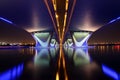 Al Garhoud Bridge in Dubai