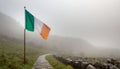 Flag of Ireland Royalty Free Stock Photo