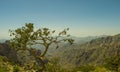 Al Hada Mountain in Taif City Royalty Free Stock Photo