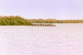 Al Karaana Lagoon for watching Migratory Birds in Qatar Royalty Free Stock Photo