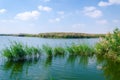Al Karaana Lagoon for watching Migratory Birds in Qatar Royalty Free Stock Photo