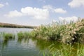 Al Karaana Lagoon for watching Migratory Birds in Qatar Royalty Free Stock Photo
