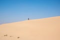 Al Qudra camels empty quarter seamless desert sahara in Dubai UAE Royalty Free Stock Photo