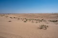 Al Qudra empty quarter seamless desert sahara in Dubai UAE middle east