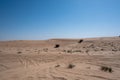 Al Qudra empty quarter seamless desert sahara in Dubai UAE middle east Royalty Free Stock Photo