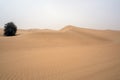 Al Qudra empty quarter seamless desert sahara in Dubai UAE