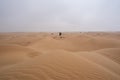 Al Qudra empty quarter seamless desert sahara in Dubai UAE