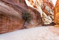 Al Siq passage to ancient Petra town in winter