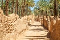 Al Ula ruined old town street with palms along the road, Saudi Arabia