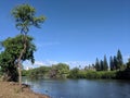 Ala Wai Canal on a nice day Royalty Free Stock Photo