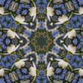 Alabama Dogwood Blossoms Kaleidoscope Art