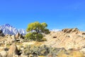 Alabama Hills with Sierra Nevada in the background Royalty Free Stock Photo