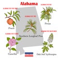 Alabama. Set of USA official state symbols