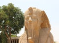 Alabaster Sphinx of Memphis. Royalty Free Stock Photo