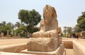 Alabaster Sphinx of Memphis. Royalty Free Stock Photo