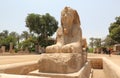 Alabaster Sphinx of Memphis.