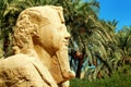 Alabaster sphinx of Memphis, Egypt