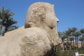 The Alabaster Sphinx at Memphis