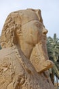 Alabaster sphinx statue