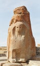 The Hattian and Hittite Ruins of Alaca Hoyuk