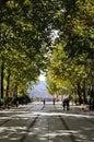 Alameda del Tajo park, Ronda, Spain.