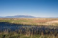 Alamosa National Wildlife Refuge in Colorado Royalty Free Stock Photo