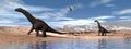 Alamosaurus dinosaurs walk near the lake - 3D render Royalty Free Stock Photo