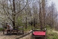 ALAMUT, IRAN - APRIL 4, 2018: Local man sitting under blossoming cherry trees in Alamut valley in Ir Royalty Free Stock Photo