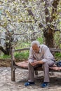 ALAMUT, IRAN - APRIL 4, 2018: Local man sitting under blossoming cherry trees in Alamut valley in Ir Royalty Free Stock Photo