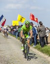 Alan Marangoni - Paris Roubaix 2014