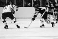 Alan Sheppard, Boston Bruins. Royalty Free Stock Photo