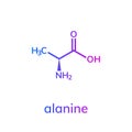 Alanine Ala amino acid