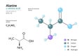 Alanine. Ala C3H7NO2. ÃÂ±-Amino Acid. Structural Chemical Formula and Molecule 3d Model. Atoms with Color Coding. Vector