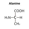 Alanine is an amino acid. Chemical molecular formula Alanine amino acid. Vector illustration on isolated background
