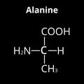 Alanine is an amino acid. Chemical molecular formula Alanine amino acid. Vector illustration on isolated background