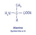 Alanine chemical structure. Vector illustration Hand drawn